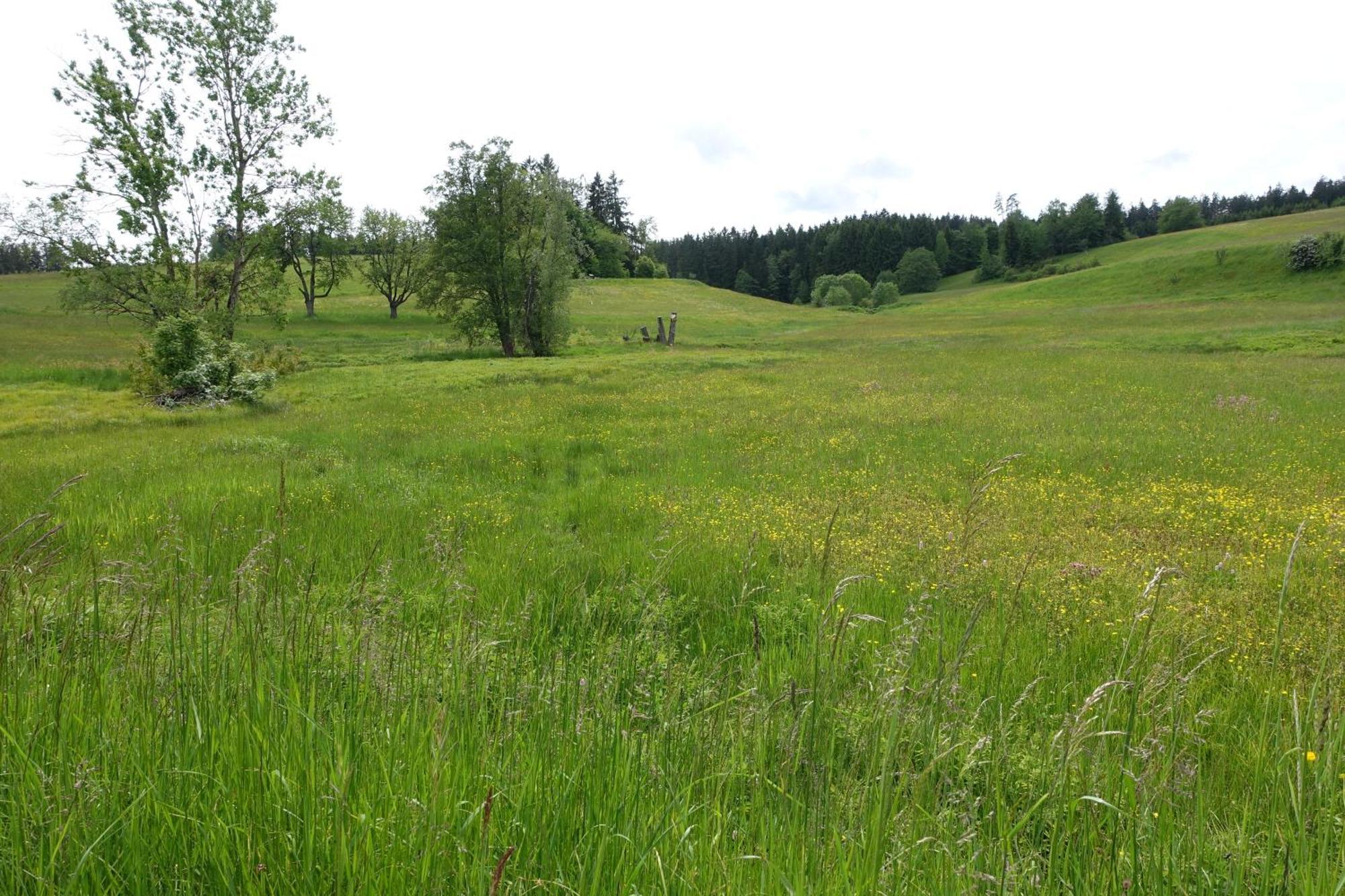 Blick In Den Garten Holzschlag Exteriér fotografie