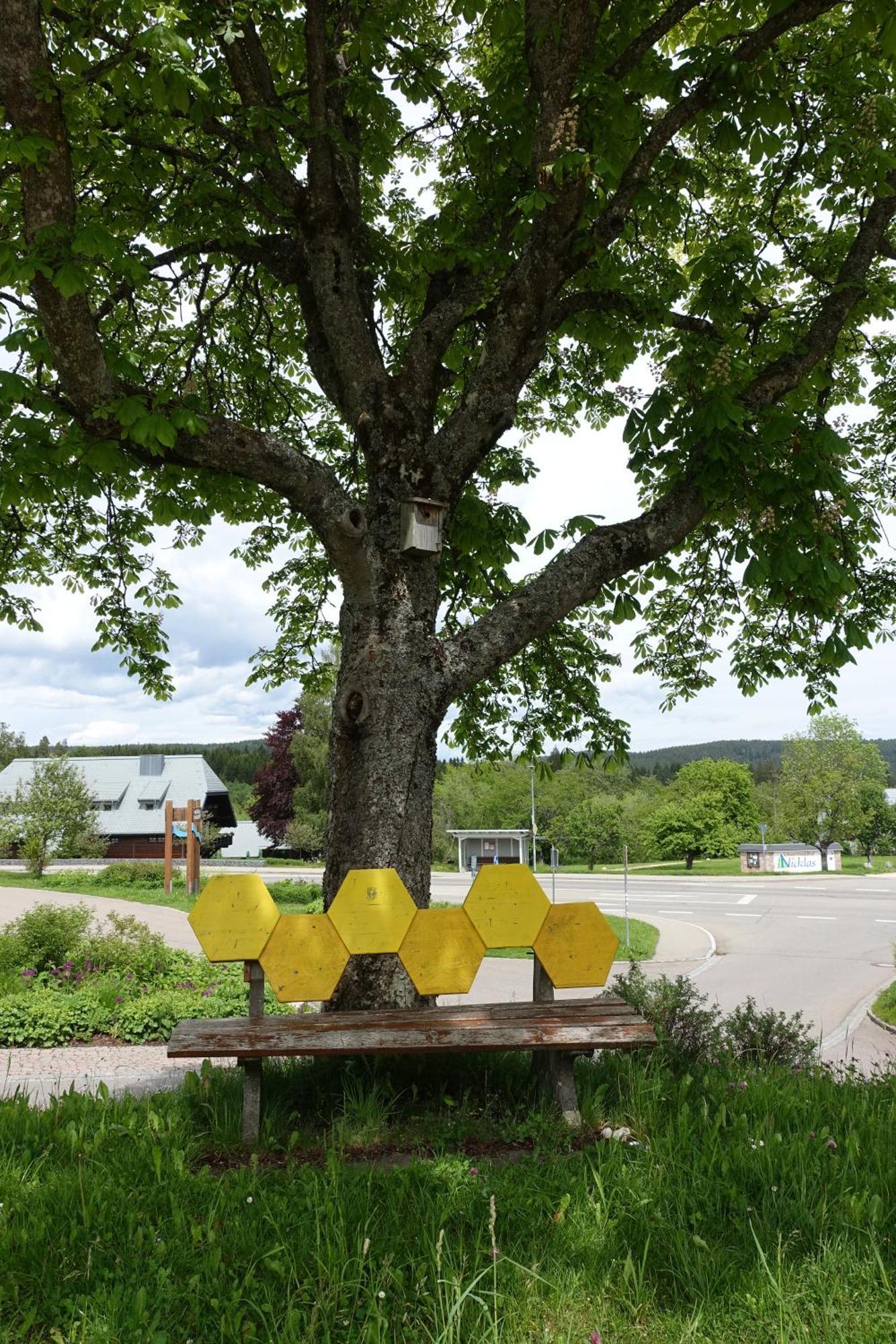 Blick In Den Garten Holzschlag Exteriér fotografie