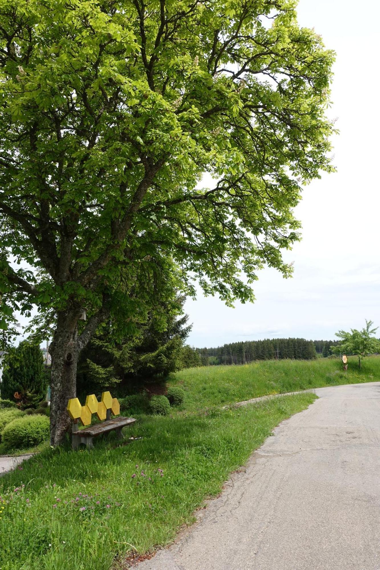Blick In Den Garten Holzschlag Exteriér fotografie